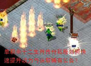 单职业十二生肖传奇私服如何快速提升战力与获取稀有装备? 单职业十二生肖传奇私服如何快速提升战力与获取稀有装备?
