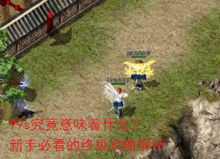 99s究竟意味着什么?新手必看的终极攻略解析 99s究竟意味着什么?新手必看的终极攻略解析