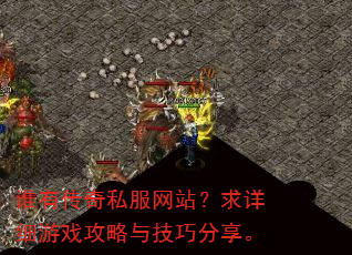 ˭�д���˽����վ������ϸ��Ϸ�����뼼�ɷ�����