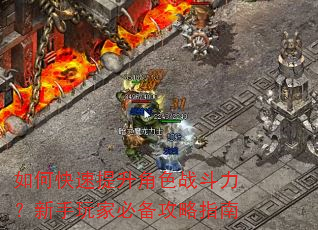 ��ο���������ɫս������������ұر�����ָ��