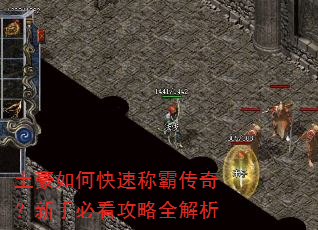 土豪如何快速称霸传奇?新手必看攻略全解析 土豪如何快速称霸传奇?新手必看攻略全解析