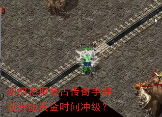 ��ΰ��ո��Ŵ��������¿����ƽ�ʱ��弶��