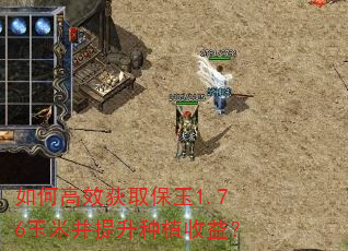 ��θ�Ч��ȡ����1.76���ײ�������ֲ���棿
