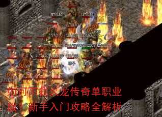 ������ػ������浥ְҵ�棿�������Ź���ȫ����