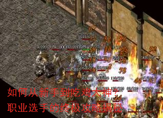 ��δ����ֵ��Լ�����ְҵѡ�ֵ��ռ����Խ���
