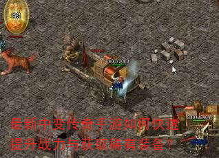 �����б䴫��������ο�������ս�����ȡϡ��װ����