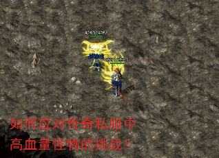 ���Ӧ�Դ���˽���и�Ѫ���������ս��