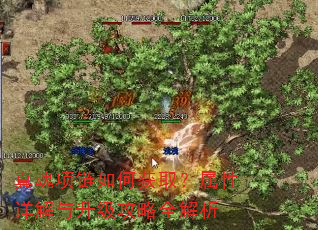 真魂项链如何获取?属性详解与升级攻略全解析 真魂项链如何获取?属性详解与升级攻略全解析