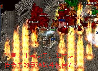 半兽勇士与虎卫,谁才是传奇中的最强战斗伙伴? 半兽勇士与虎卫,谁才是传奇中的最强战斗伙伴?