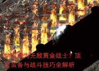 ��γ�Ϊ�޵лƽ�սʿ������װ����ս������ȫ����