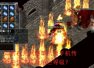 如何在无网络单机版手机传奇中快速提升角色等级? 如何在无网络单机版手机传奇中快速提升角色等级?