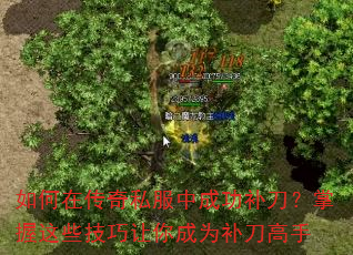 如何在传奇私服中成功补刀?掌握这些技巧让你成为补刀高手 如何在传奇私服中成功补刀?掌握这些技巧让你成为补刀高手