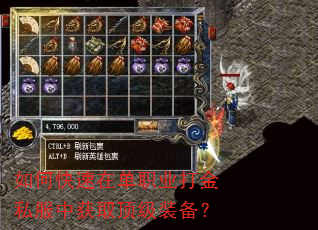 如何快速在单职业打金私服中获取顶级装备? 如何快速在单职业打金私服中获取顶级装备?