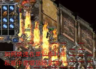 如何快速在单职业打金私服中获取顶级装备? 如何快速在单职业打金私服中获取顶级装备?