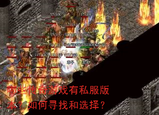 ��Щ������Ϸ��˽���汾�����Ѱ�Һ�ѡ��